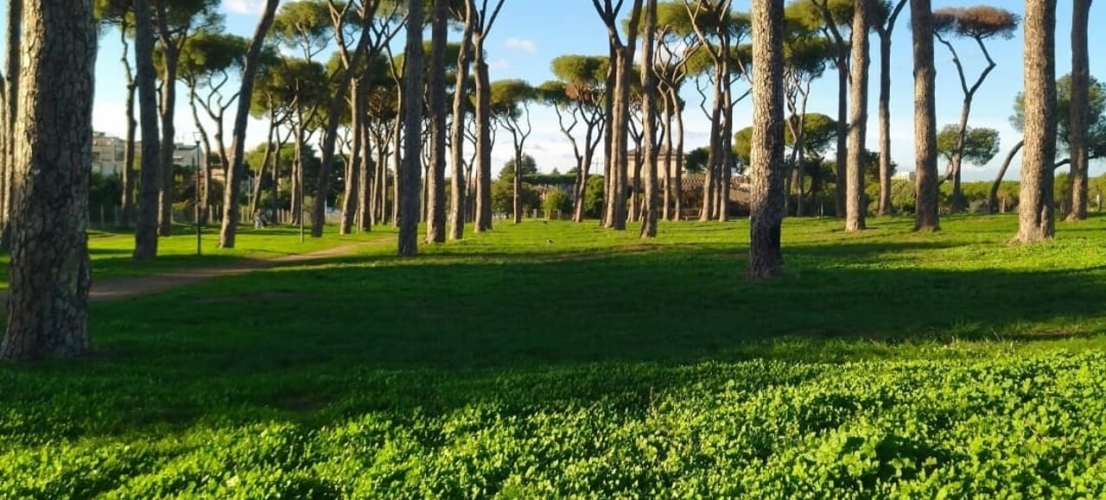 La Pineta Sacchetti non può vivere soltanto nelle emergenze